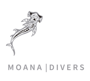 moana divers roatan