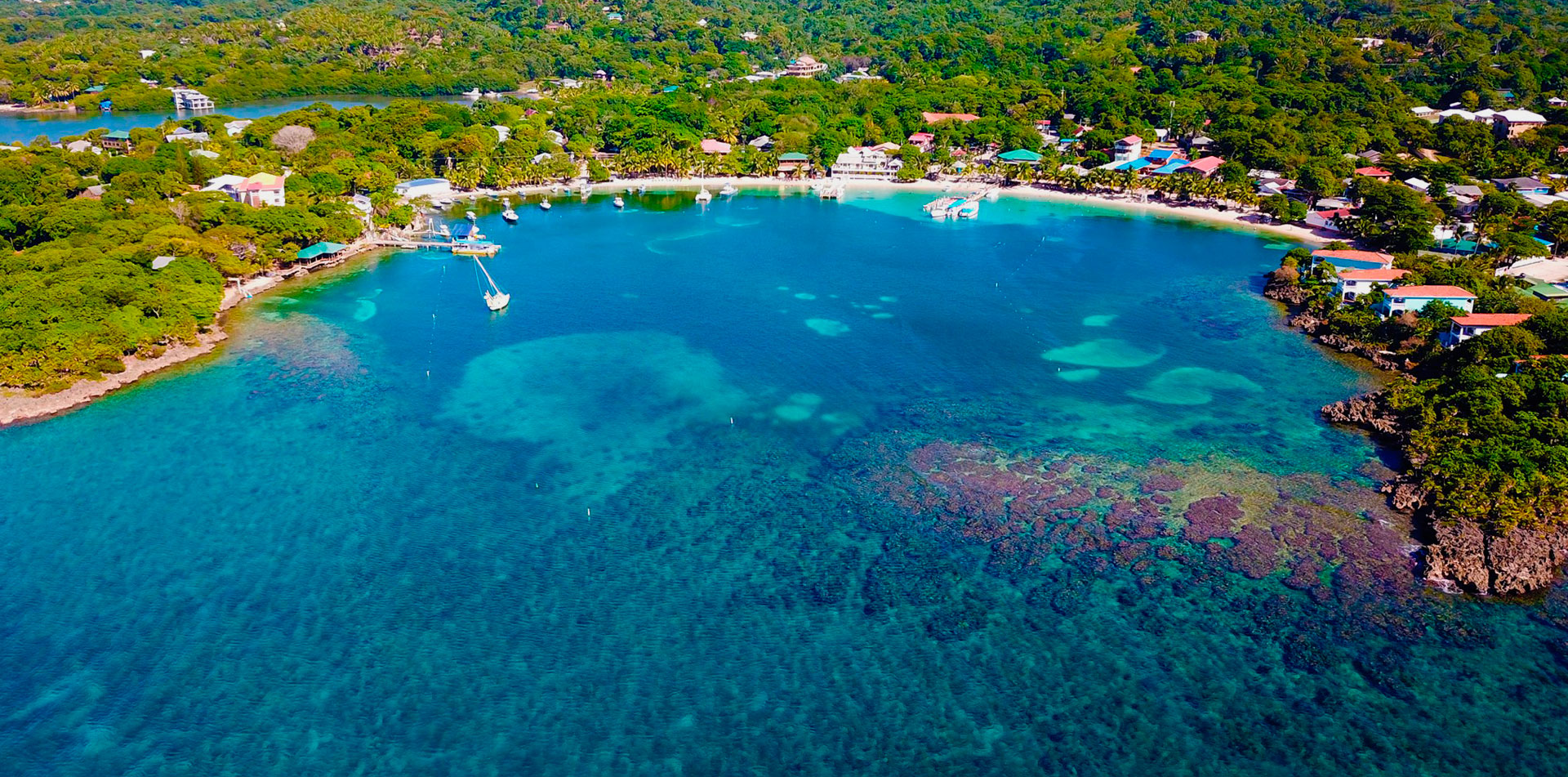 moana-divers-roatan-isla moana-divers-roatan-8